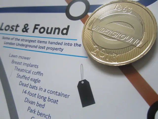 Guidelines Governing User Conduct