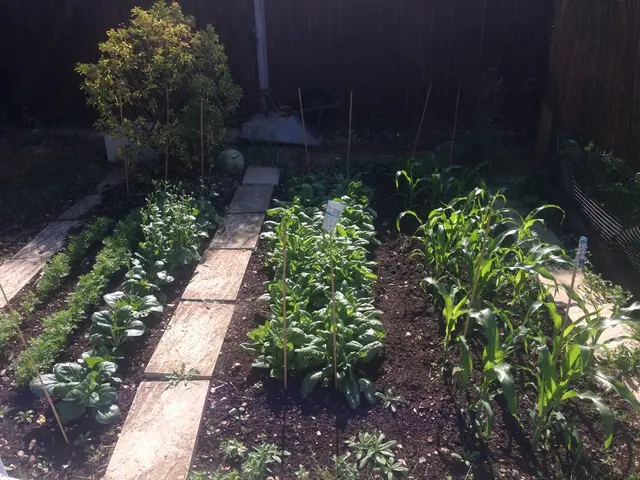 USDA Growing Zone Chart for Mississippi: A Map Outlining Appropriate Planting Conditions Across the...