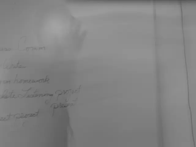 Elliot Shapiro: An Individual Identity in Focus